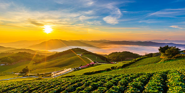 사회조사연구소 관련 사진