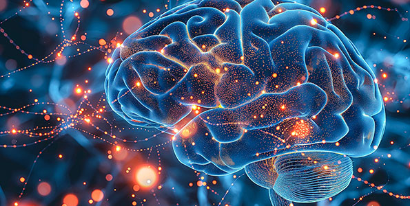 뇌혈관질환선도연구센터 관련 사진